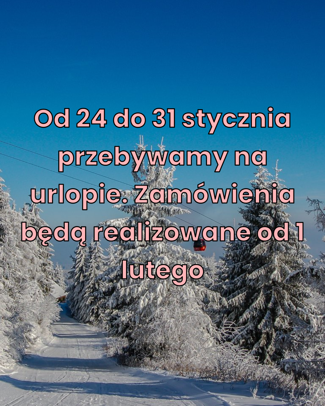 Od 24 do 31 stycznia przebywamy na urlopie. Zamówienia będą realizowane od 1 lutego