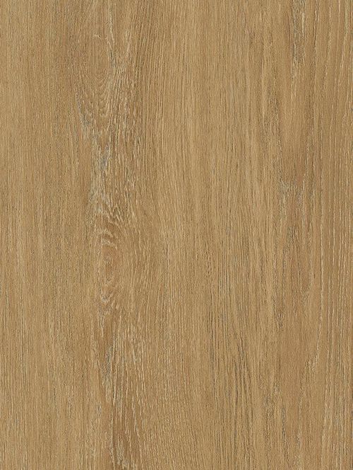 Folia architektoniczna w kolorze bleached bronze oak