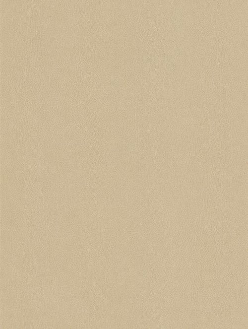 Beżowa folia architektoniczna o delikatnej teksturze